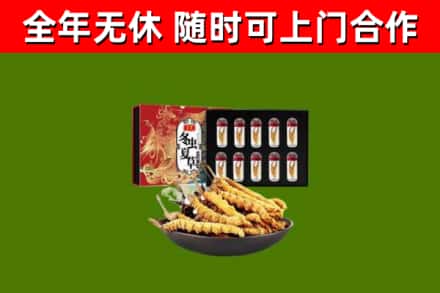 夷陵烟酒回收冬虫夏草礼盒.jpg